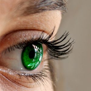 Lash Extension Removal & Infill Package